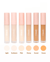 Concealer - Cloudy Cosmetics